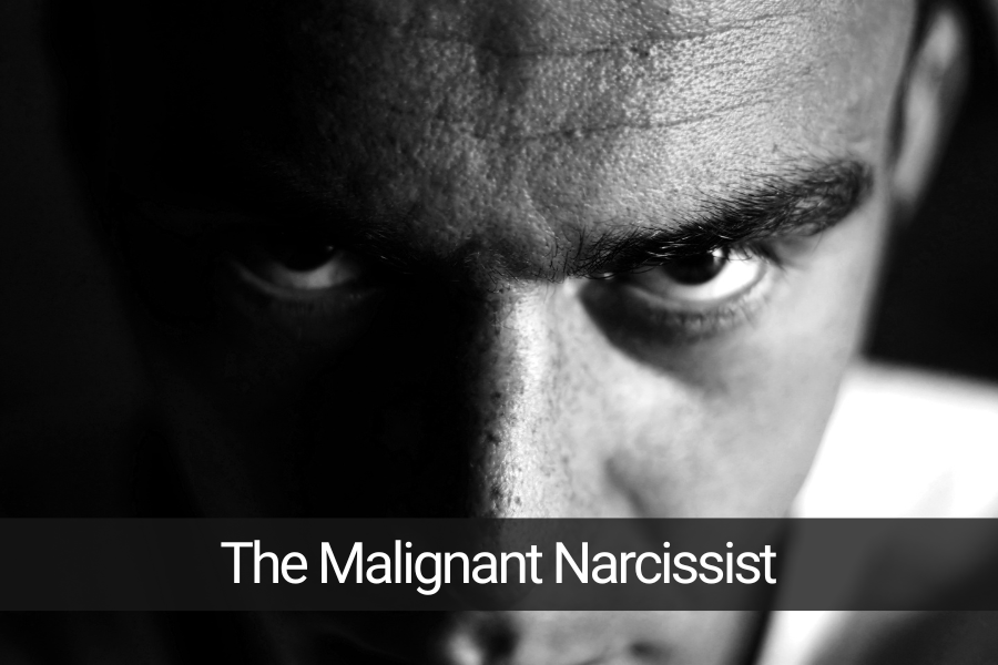 The Malignant Narcissist